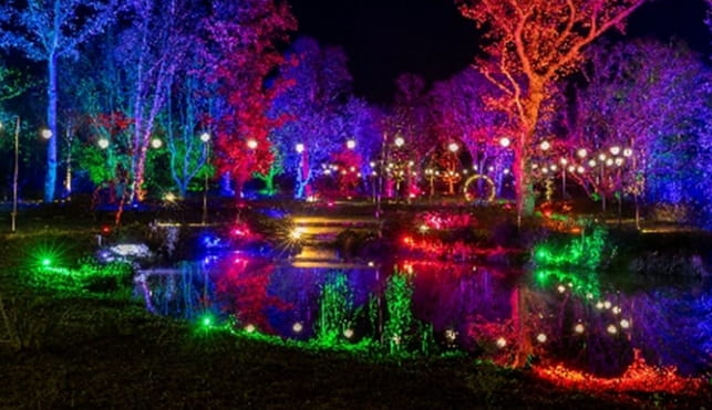 Light display at RHS Bridgewater
